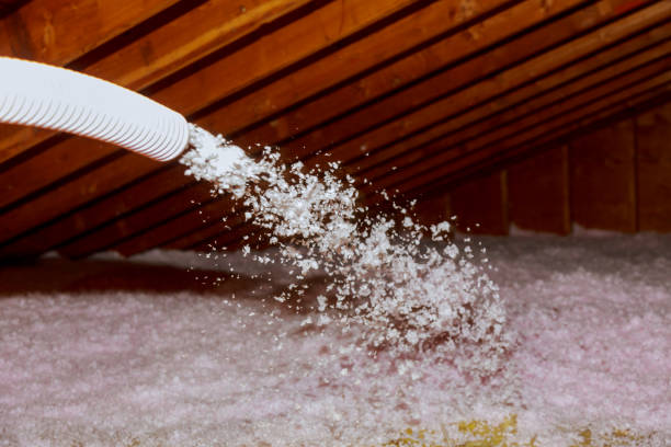 Best Insulation Contractor Near Me  in Cohasset, MN